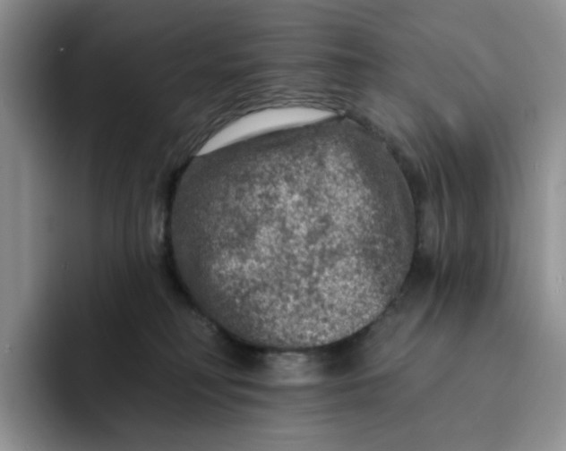 X0000091720230200709141212