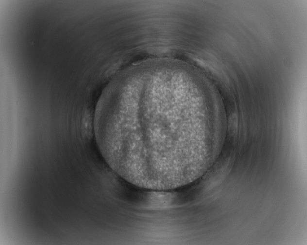 X0000091720234200709141212