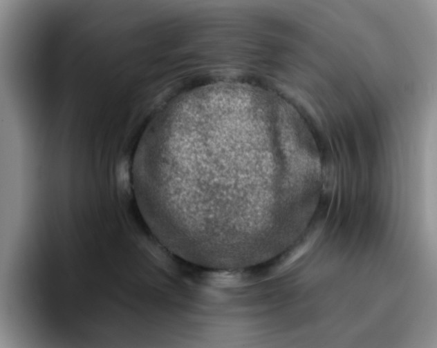 X0000091720238200709141212