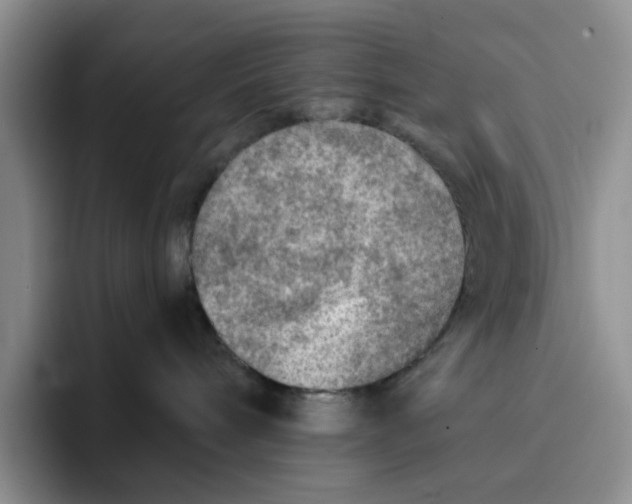 X0000091720240200709141211