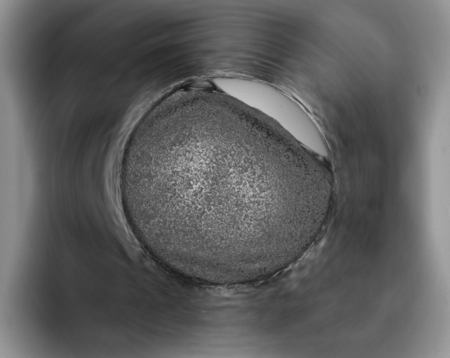 X0000091720241200709141211