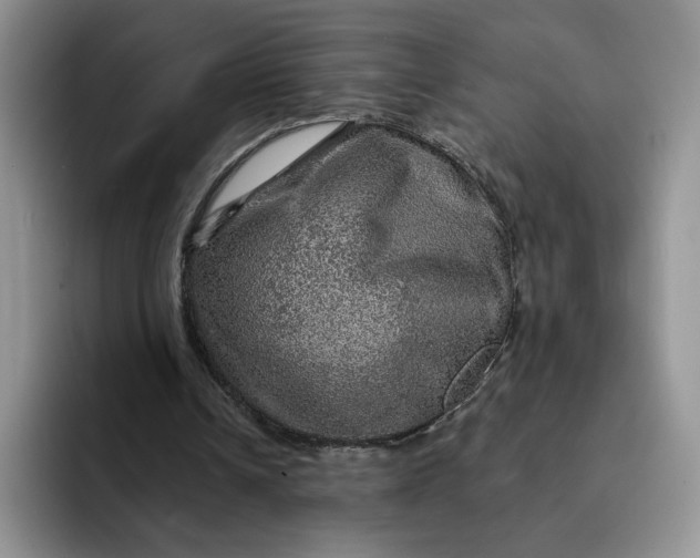 X0000091720242200709141211