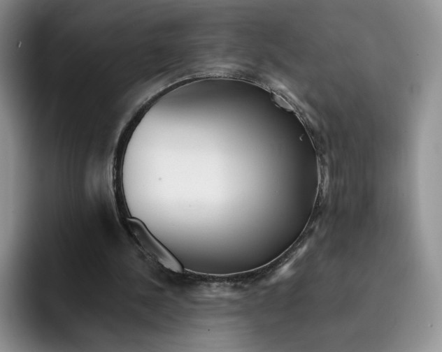 X0000091720244200709141211