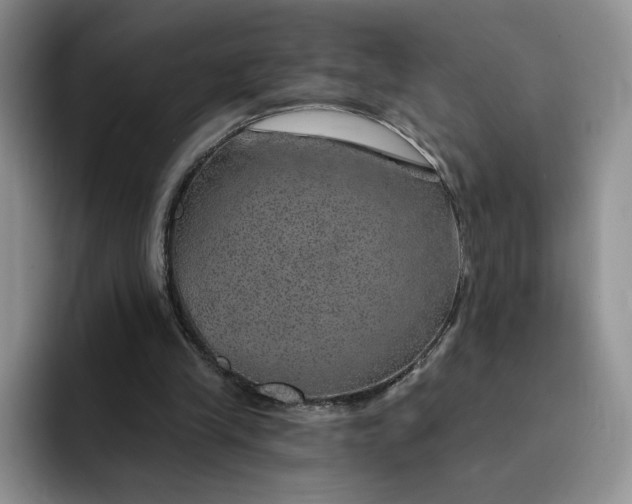 X0000091720245200709141211