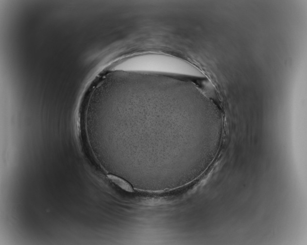 X0000091720246200709141211