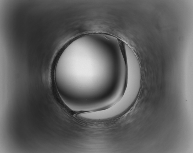 X0000091720248200709141211