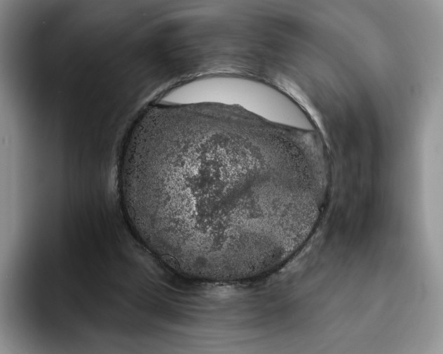 X0000091720249200709141211