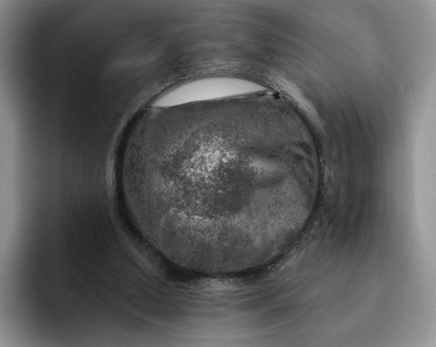 X0000091720250200709141211