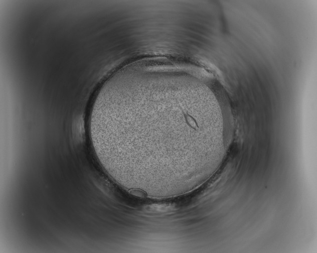 X0000091720251200709141211