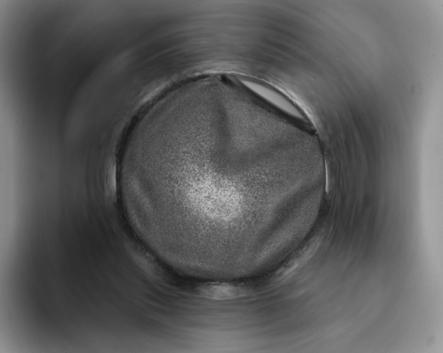 X0000091720253200709141211