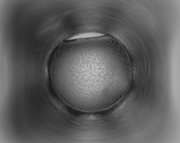 X0000091720254200709141211