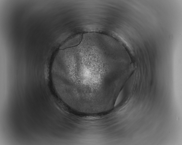 X0000091720255200709141211