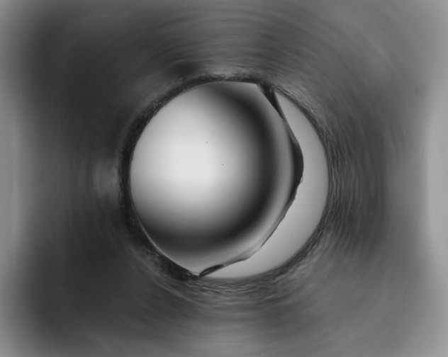 X0000091720256200709141211