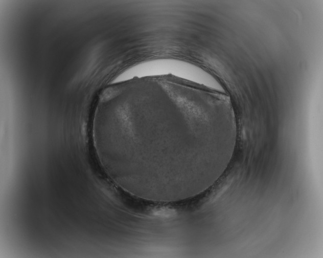 X0000091720258200709141211