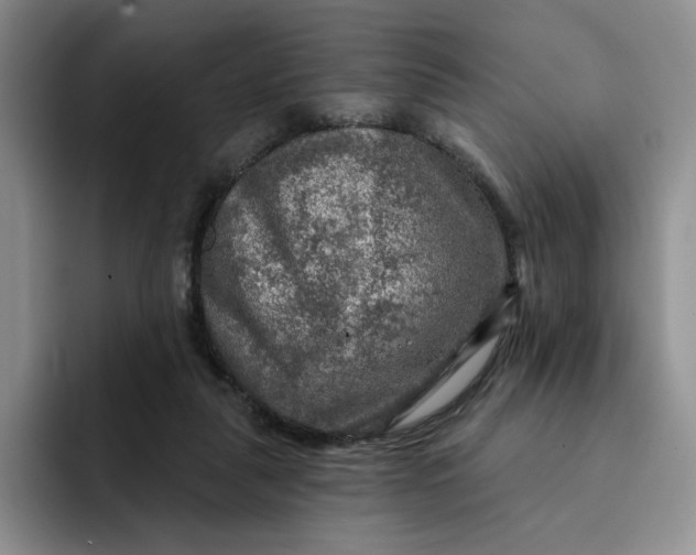 X0000091720259200709141211