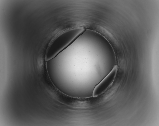 X0000091720260200709141211