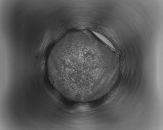 X0000091720263200709141211