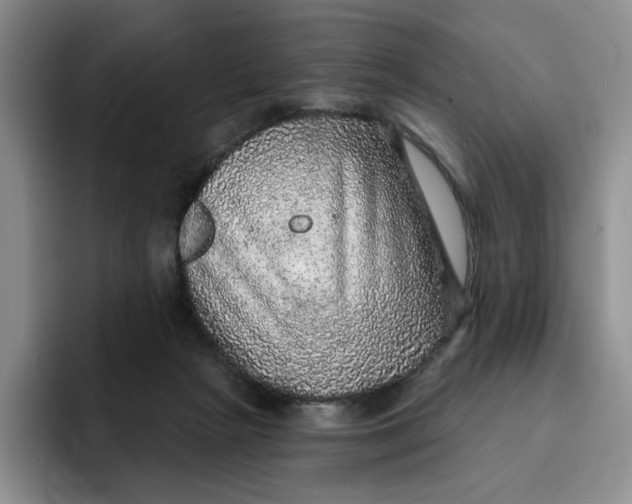 X0000091720265200709141211