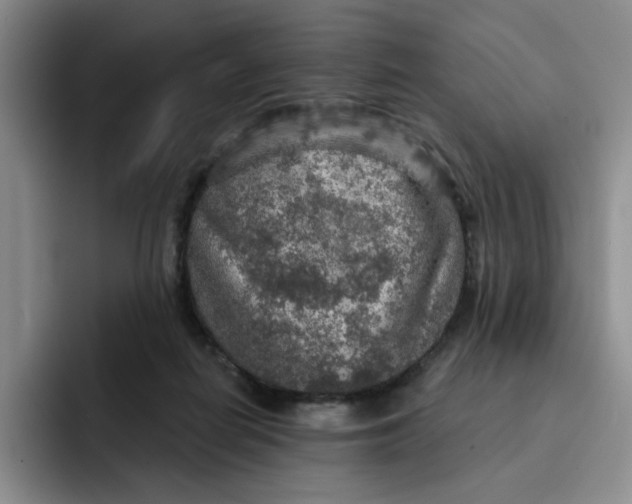 X0000091720266200709141211