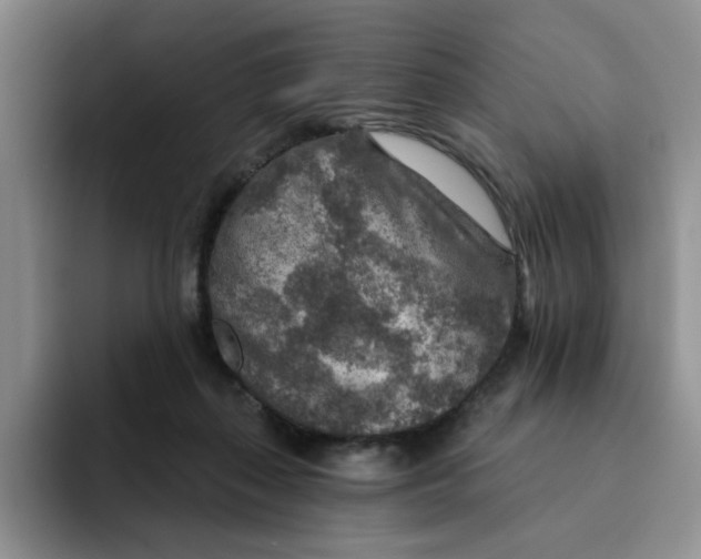 X0000091720267200709141211