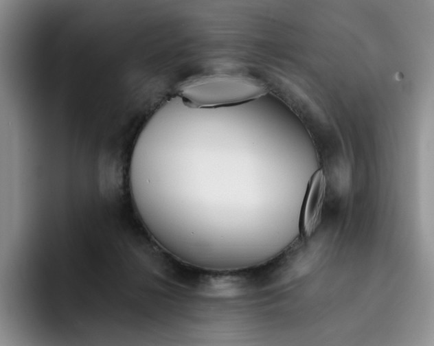 X0000091720268200709141211