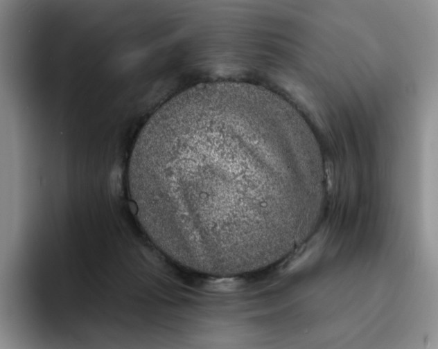 X0000091720269200709141211