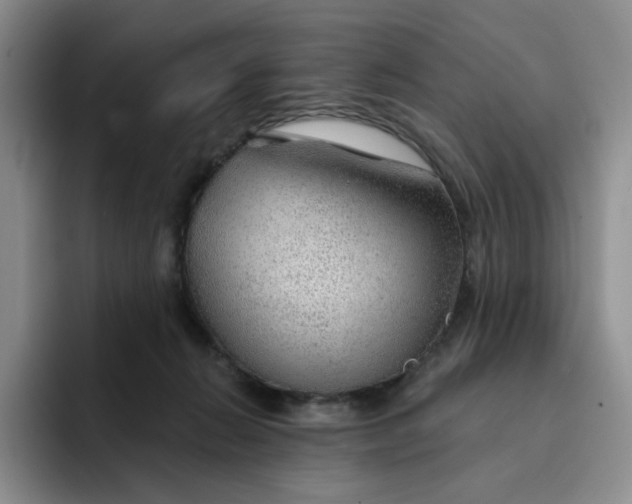 X0000091720270200709141211