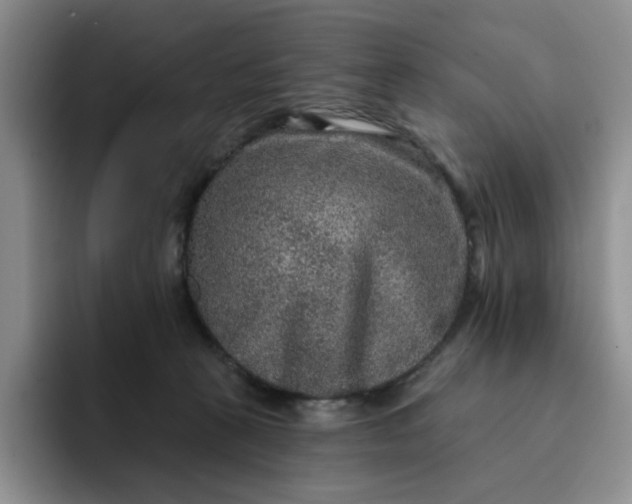 X0000091720273200709141211