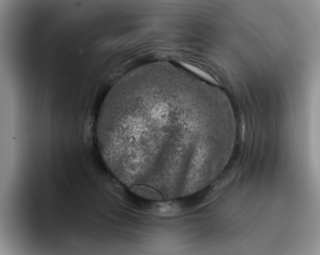 X0000091720275200709141211