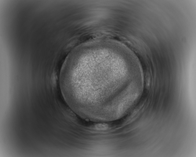 X0000091720279200709141211