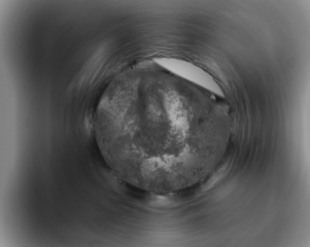 X0000091720285200709141211