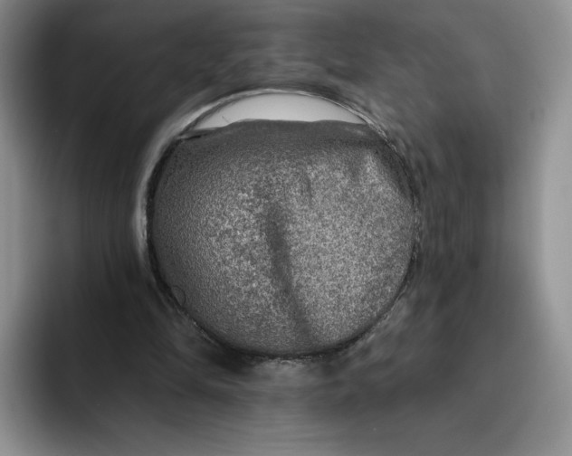 X0000091720294200709141211