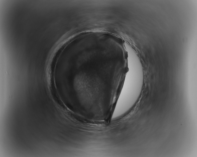 X0000091720295200709141211