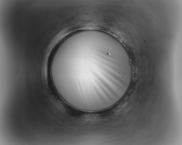 X0000091720296200709141211