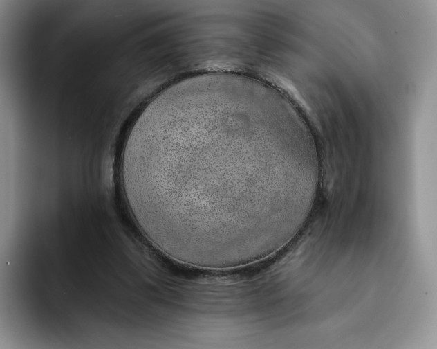 X0000091720299200709141211