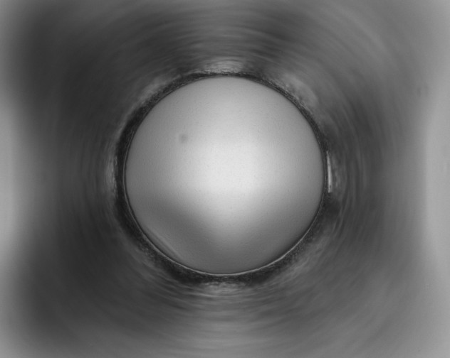 X0000091720300200709141211