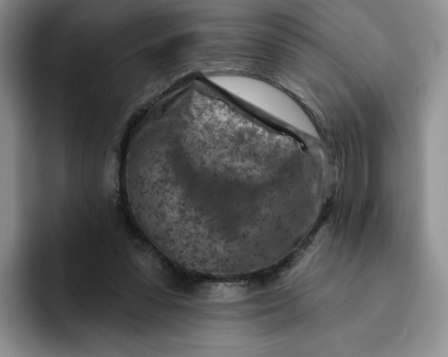 X0000091720303200709141211