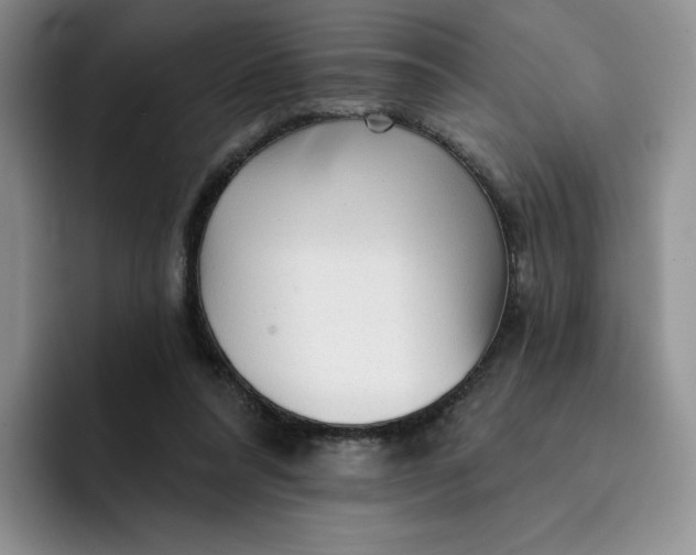 X0000091720304200709141211