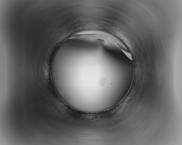 X0000091720305200709141211