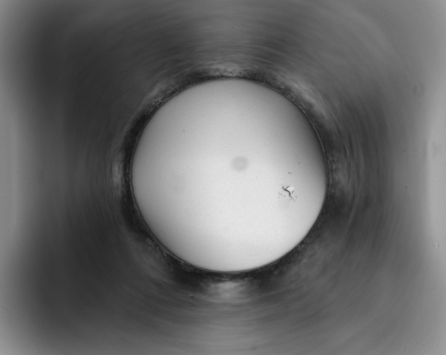 X0000091720312200709141211