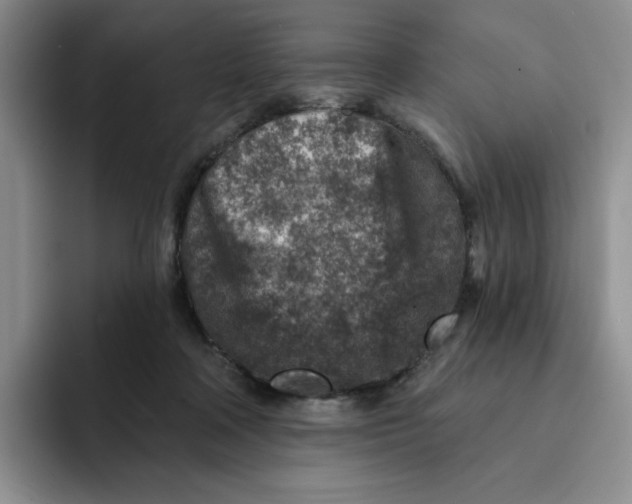 X0000091720314200709141211