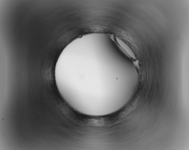 X0000091720317200709141210