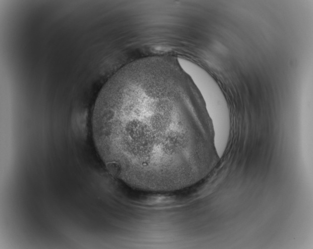 X0000091720319200709141210