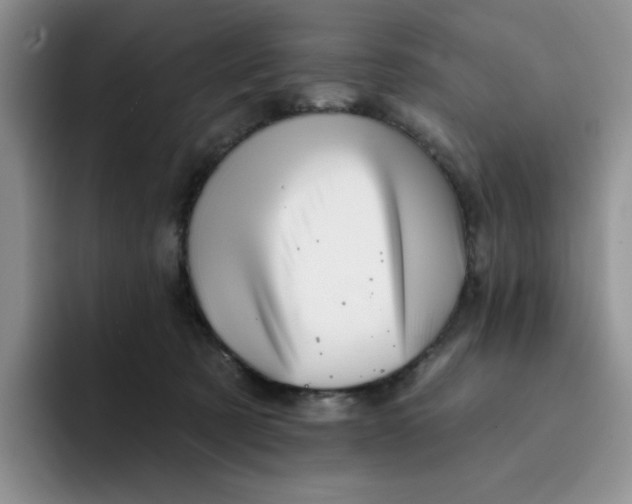 X0000091720321200709141210