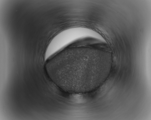 X0000091720325200709141210