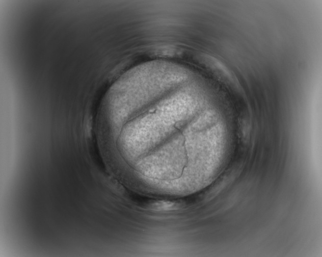 X0000091720326200709141210