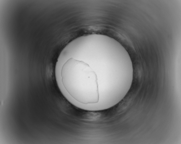 X0000091720328200709141210