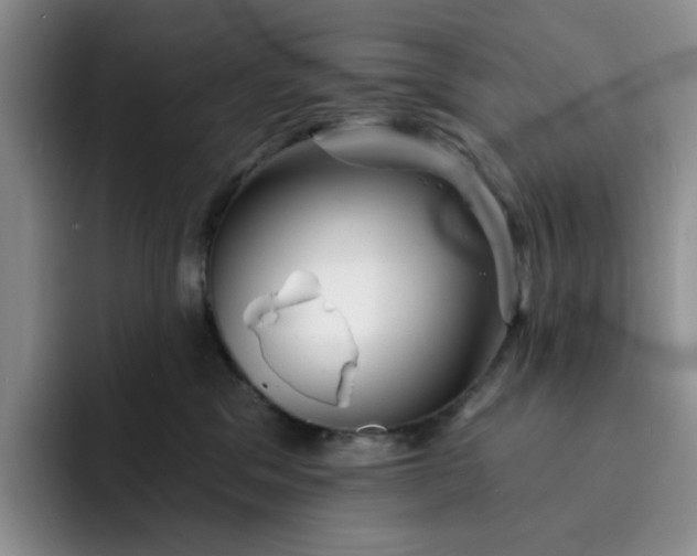 X0000091720329200709141210