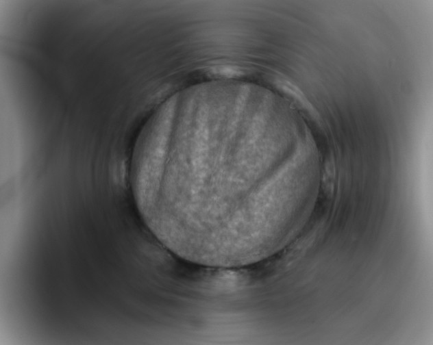 X0000091720330200709141210