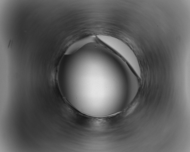 X0000091720333200709141210